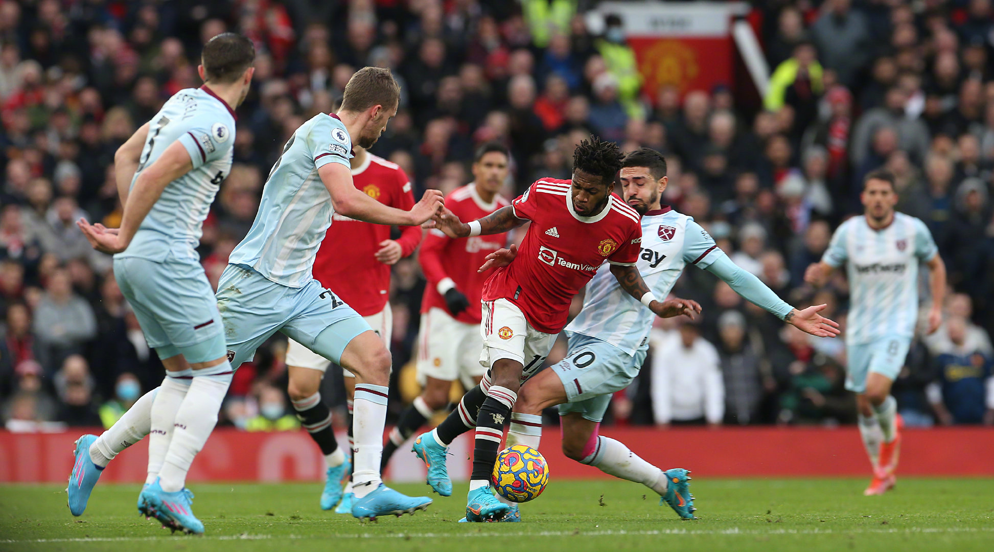 定地走自己 定地走自己